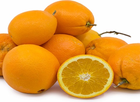 خرید و قیمت پرتقال تامسون ناولینا + فروش عمده